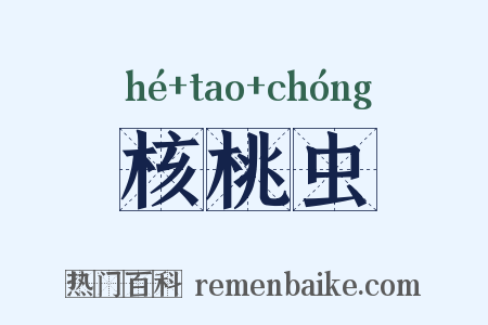 核桃虫是什么意思的图片